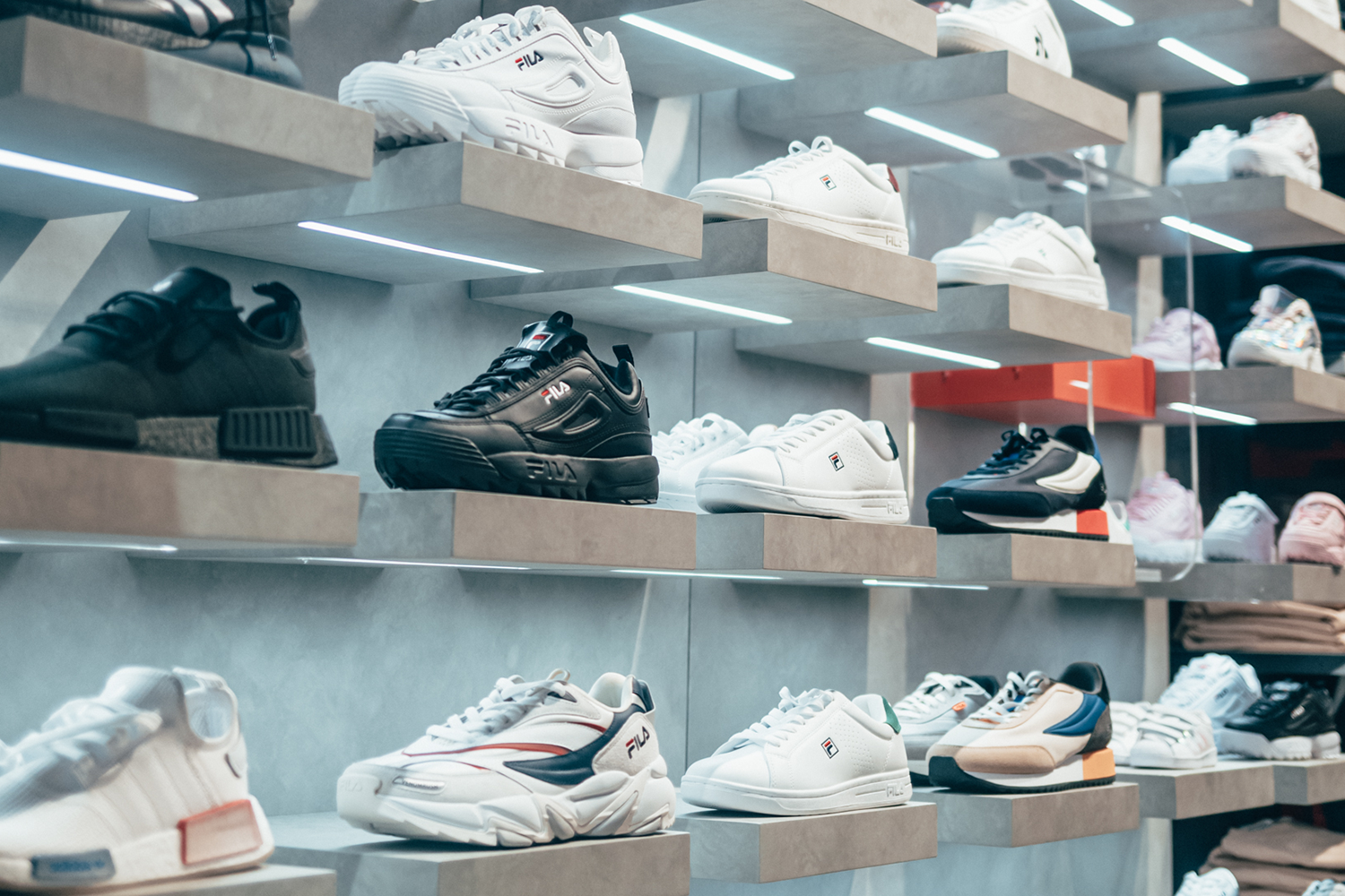 Gallery_Disrupt_1
